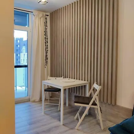 Joy City Vivalia V6a-41 Apartment Timisoara