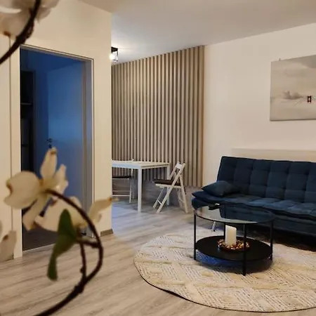 Joy City Vivalia V6a-41 * Timişoara