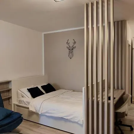 Joy City Vivalia V6a-41 * Timisoara