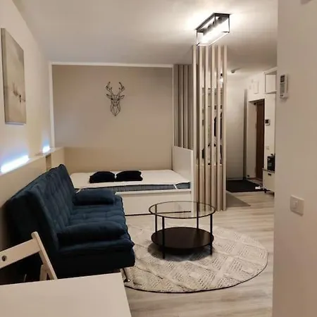 Joy City Vivalia V6a-41 Apartment Timisoara