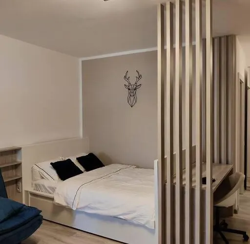 Joy City Vivalia V6a-41 * Timişoara