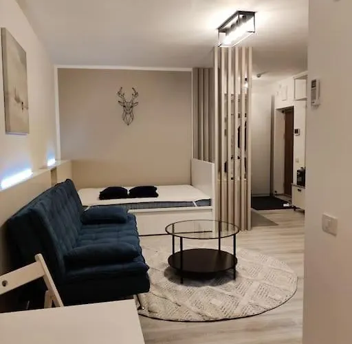 Joy City Vivalia V6a-41 Apartment Timişoara