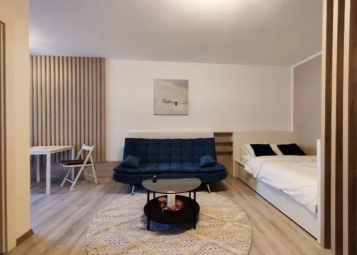 Joy City Vivalia V6a-41 * Timişoara